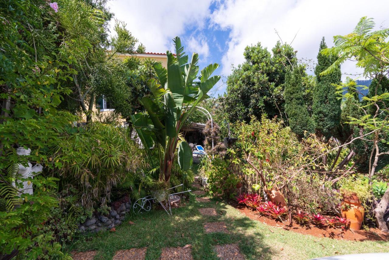 Cyane & Vigo'S Cottage, Caminho Do Massapez, N.º40 Arco da Calheta  Eksteriør bilde